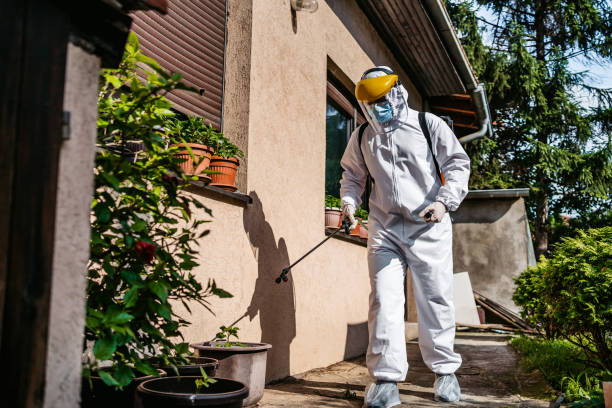 Best Best Pest Control Companies  in St Martin, MS