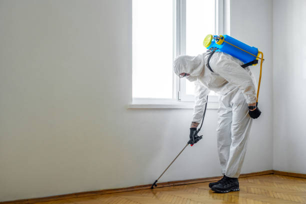 Pest Prevention Services in St Martin, MS